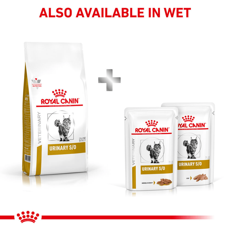 Urinary S/O Royal Canin All Breeds Adult Cat Food