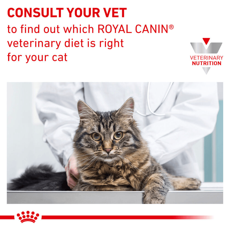 Urinary S/O Royal Canin All Breeds Adult Cat Food