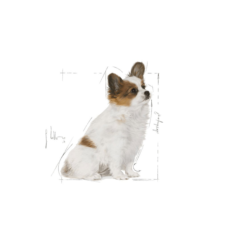 Puppy Royal Canin X-Small Breed Dog Food