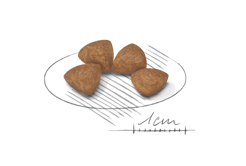 Puppy Royal Canin X-Small Breed Dog Food