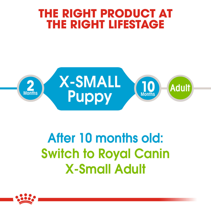 Puppy Royal Canin X-Small Breed Dog Food