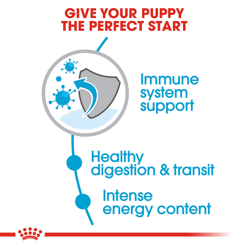Puppy Royal Canin X-Small Breed Dog Food