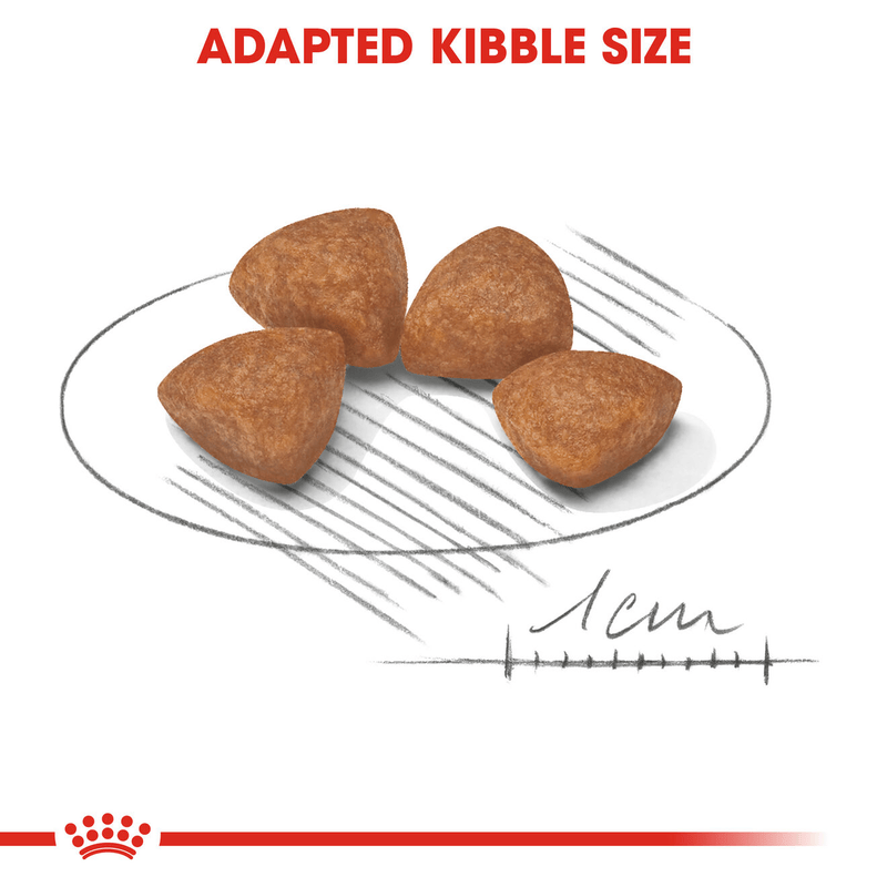 Puppy Royal Canin X-Small Breed Dog Food