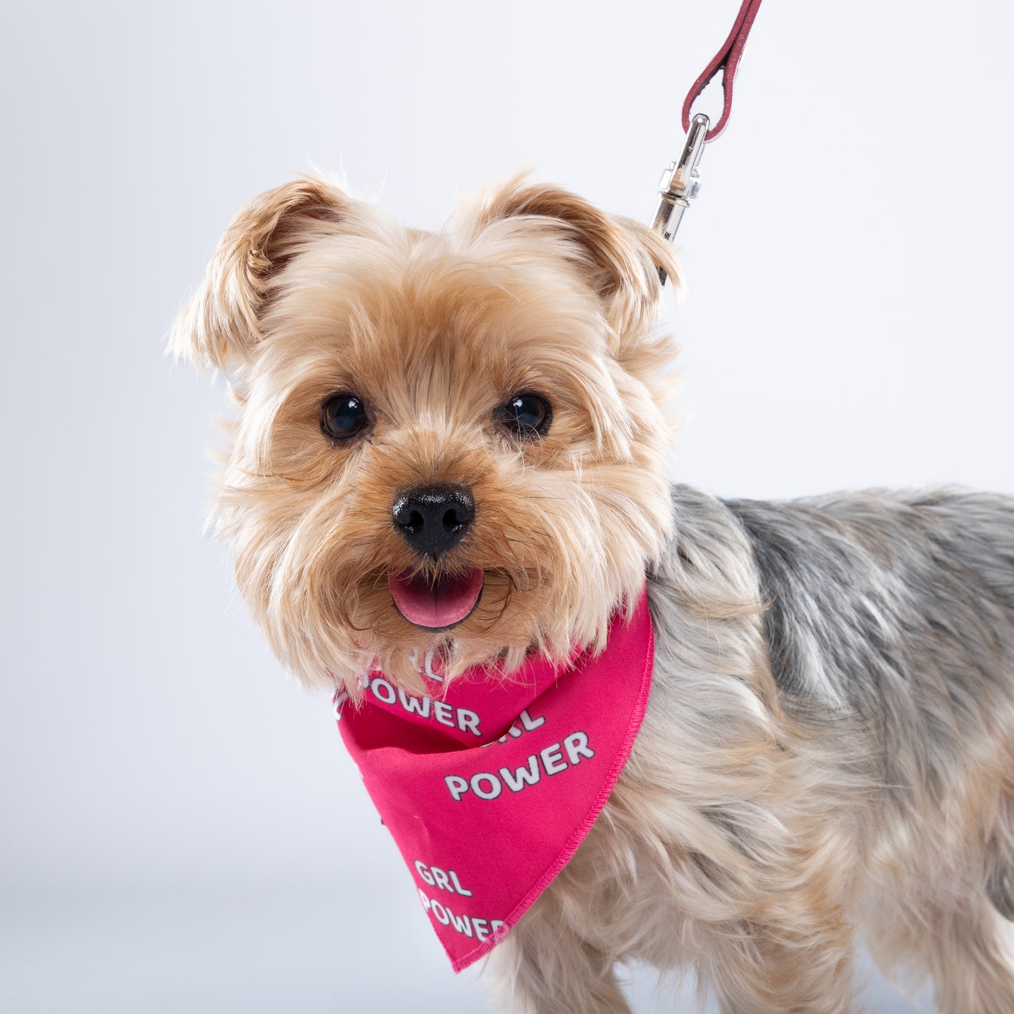 “GRL Power” PAWPAW Dog Bandana