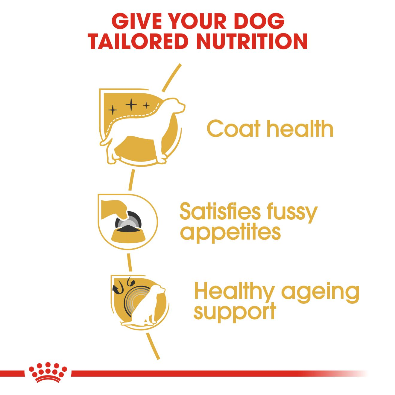 Yorkshire Terrier Royal Canin Adult Dog Food