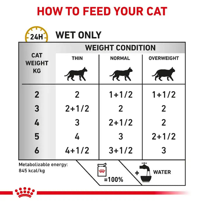 Urinary S/O Wet Loaf 85g Royal Canin All Breeds Adult Cat Food