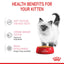 Kitten Chunks Wet Jelly 85g Royal Canin All Breeds Cat Food