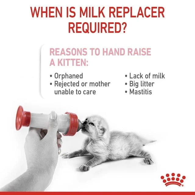 BABY CAT MILK