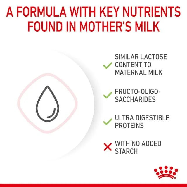 Babycat Royal Canin All Breeds Newborn Cat Milk