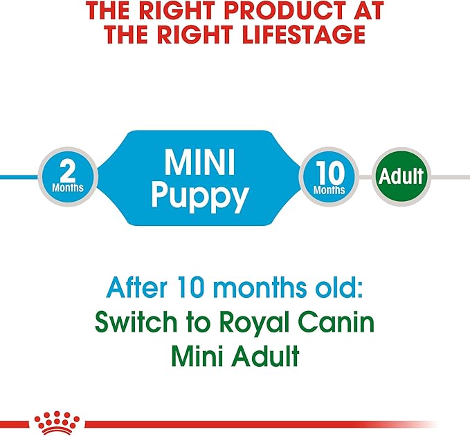 Mini Puppy Royal Canin Small Breed Dog Food