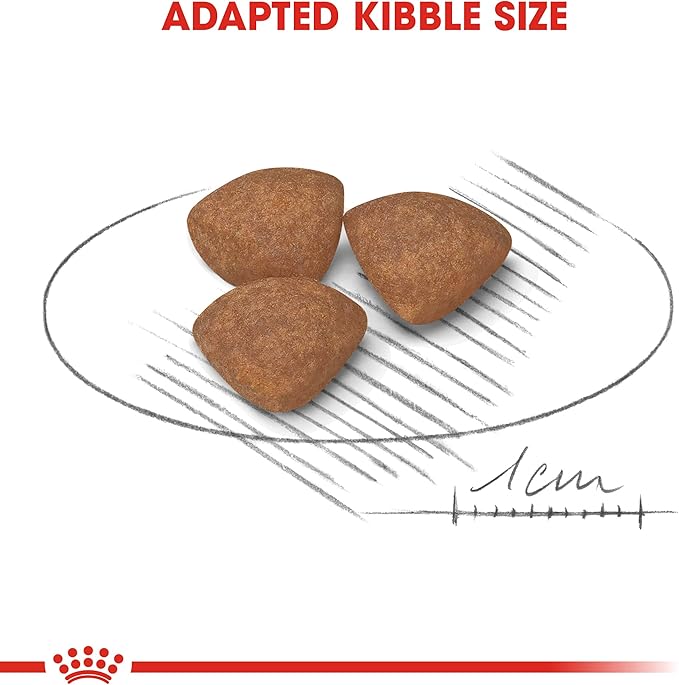 Mini Puppy Royal Canin Small Breed Dog Food