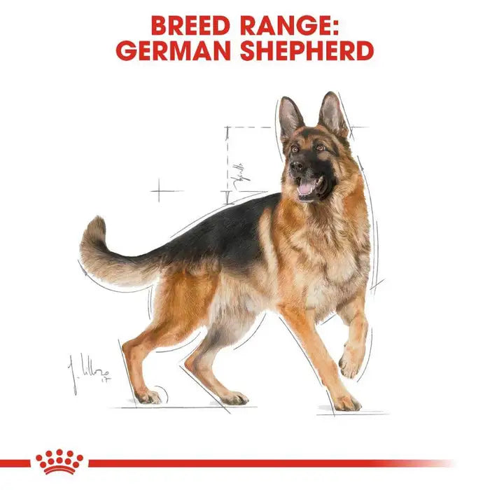 German Shepherd 3Kg Royal Canin Adult Dog Food