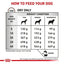 Gastrointestinal High Fibre Royal Canin All Breeds Adult Dog Food