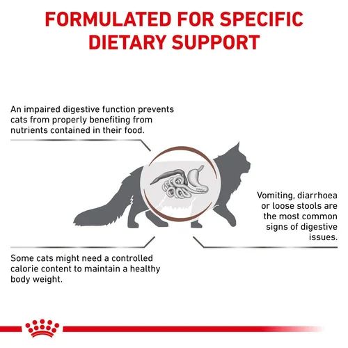 Gastrointestinal Moderate Calorie Royal Canin All Breeds Adult Cat Food