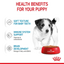Mini Puppy Chunks Wet Gravy 85g Royal Canin Small Breed Dog Food
