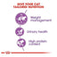 Sterilised 37 Royal Canin All Breeds Adult Cat Food