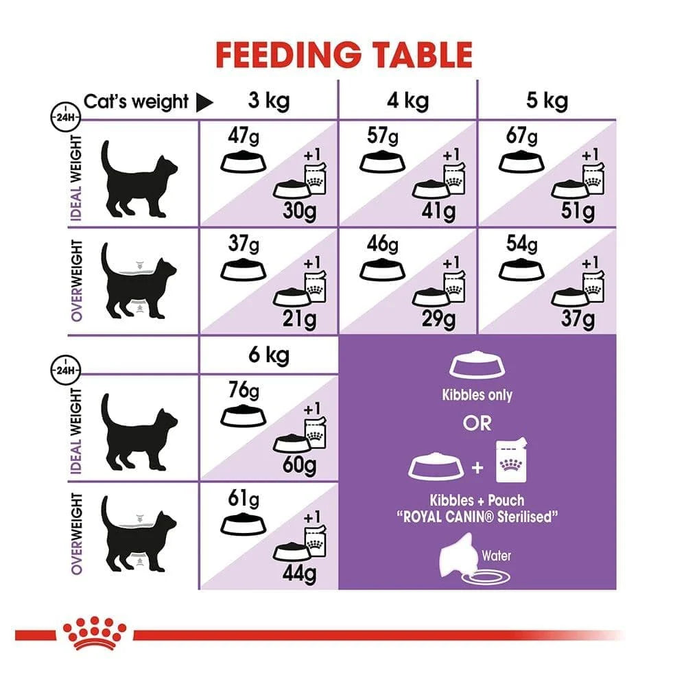 Sterilised 37 Royal Canin All Breeds Adult Cat Food