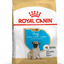 Pug 1.5Kg Royal Canin Puppy Food
