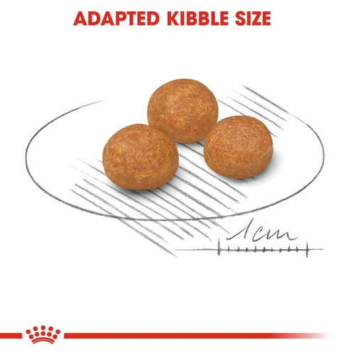 X-Small Breed Royal Canin Adult Dog Food