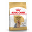 Yorkshire Terrier Royal Canin Adult Dog Food